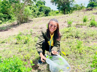 โครงการอาสาสมัครสหกรณ์ กิจกรรมพัฒนาอาสาสมัครสหกรณ์ ... พารามิเตอร์รูปภาพ 31